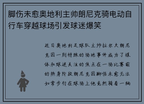 脚伤未愈奥地利主帅朗尼克骑电动自行车穿越球场引发球迷爆笑